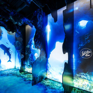 Arcadia Earth Toronto Exhibit - Large lightboxes with marine life shown at the immersive show
