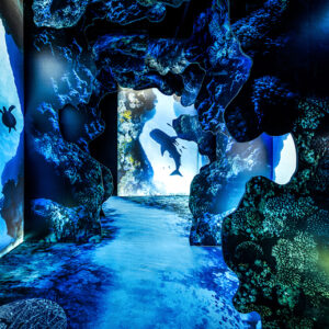 Arcadia Earth Toronto Exhibit - Large lightboxes with marine life shown at the immersive show