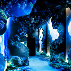 Arcadia Earth Toronto Exhibit - Large lightboxes with marine life shown at the immersive show