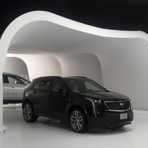 Cadilliac Large Cave-like Custom Shape Display